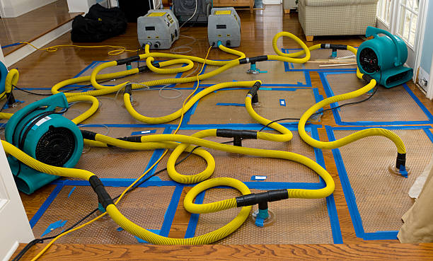Professional Crawl Space Water Removal technician working in Hollis Center, ME